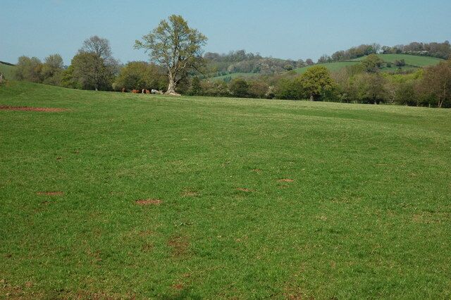 Field at Ty-Mawr Farm Field immediately to the north of Ty-Mawr Farm in Llantrisant.