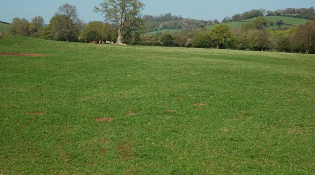 Field at Ty-Mawr Farm Field immediately to the north of Ty-Mawr Farm in Llantrisant.