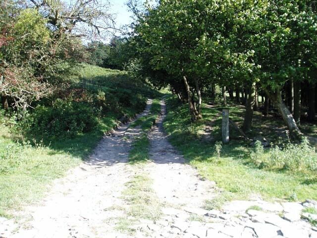 Footpath above Pant-y-cwcw Wood This is part of a circular walk to the South West of Usk, above Llanbadoc. Just follow the blue arrows.