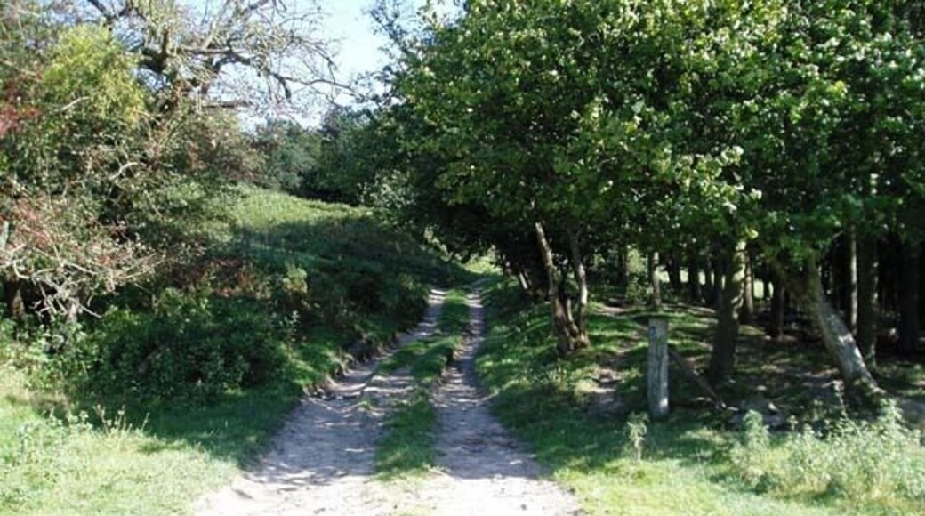 Footpath above Pant-y-cwcw Wood This is part of a circular walk to the South West of Usk, above Llanbadoc. Just follow the blue arrows.
