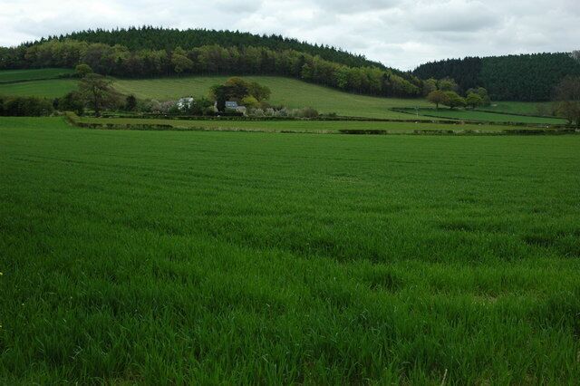 Farmland around Pantycolin Pantycolin and surrounding farmland viewed from the B4598.
