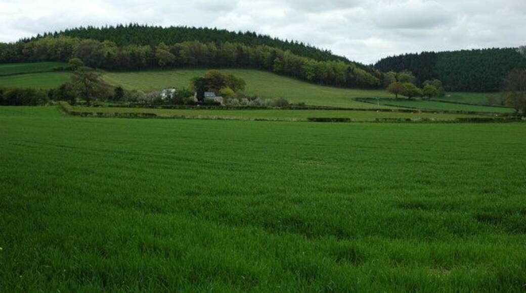 Farmland around Pantycolin Pantycolin and surrounding farmland viewed from the B4598.
