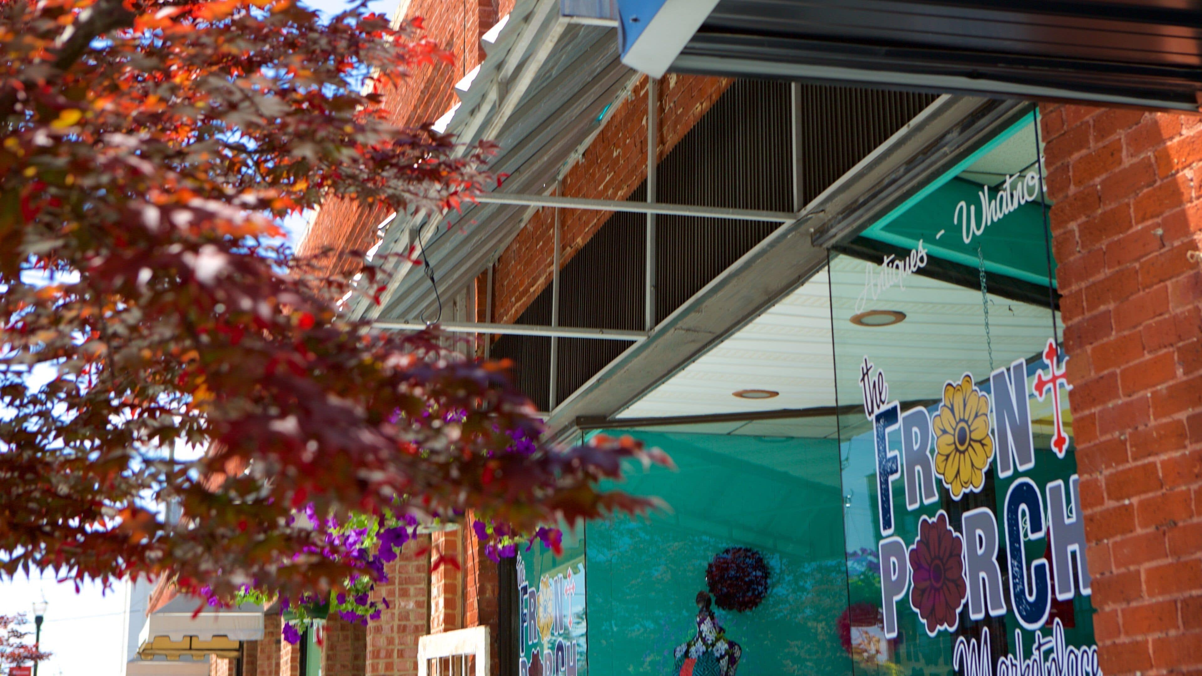 Albertville ofreciendo una pequeña ciudad o pueblo