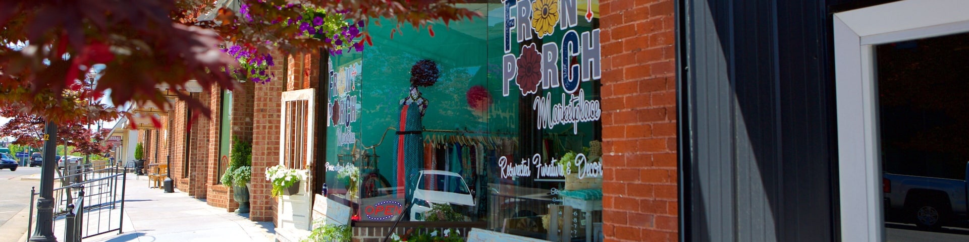 Albertville featuring shopping and a small town or village