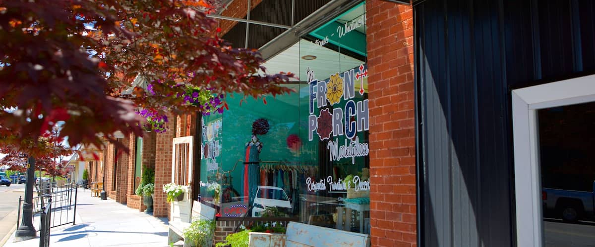 Albertville showing shopping and a small town or village