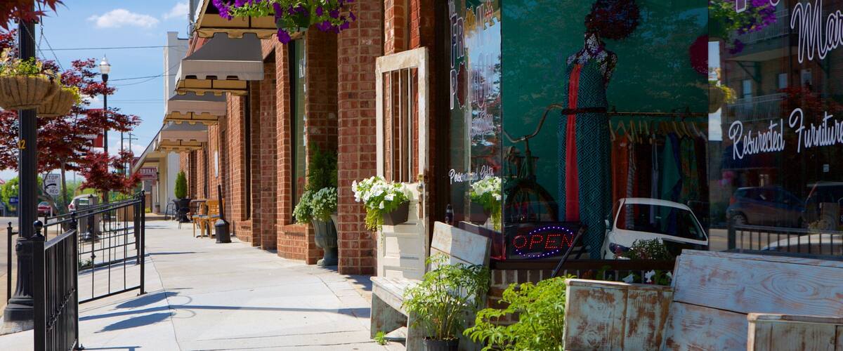 Albertville showing a small town or village