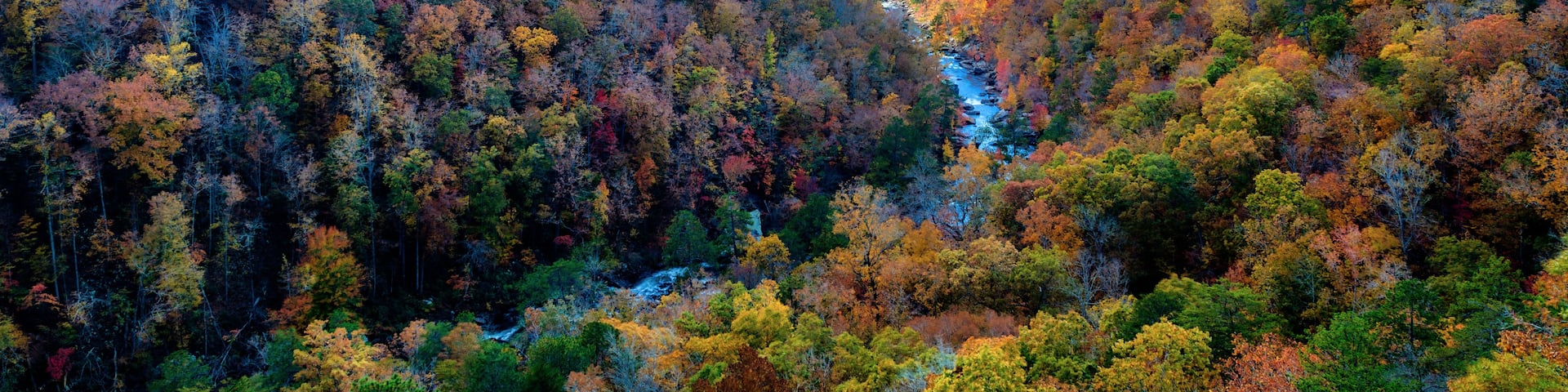 A valley with a river, surrounded by autumn-colored trees and a cloudy sky.