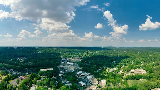 Aerial View of Lake Martin, Alabama