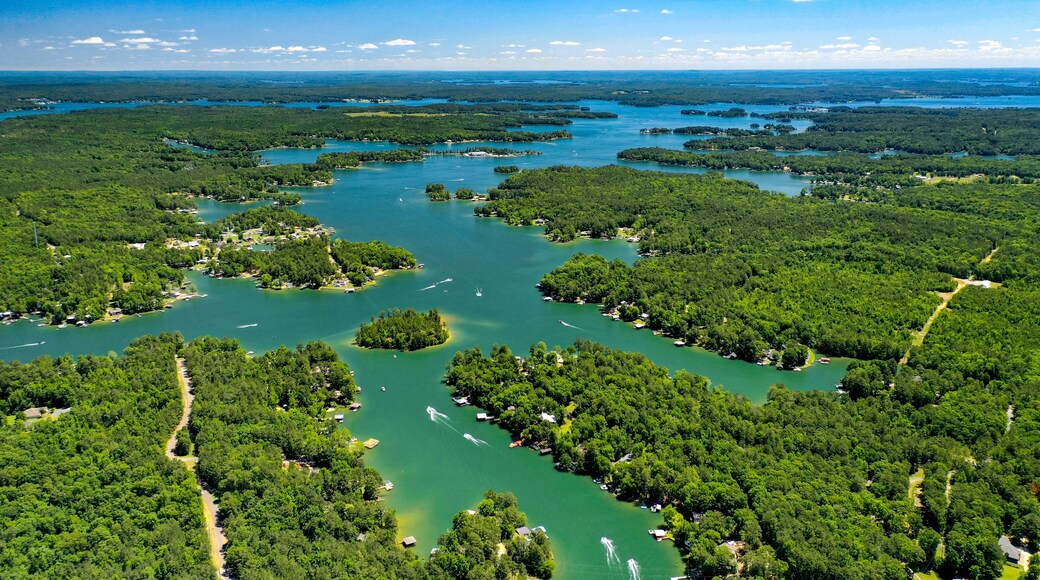 Aerial View of Lake Martin, Alabama
