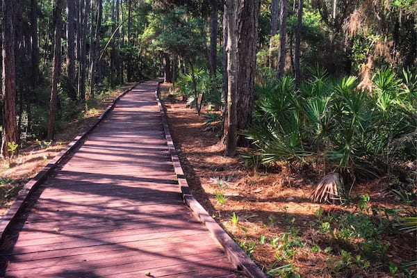 Dauphin island may 2017