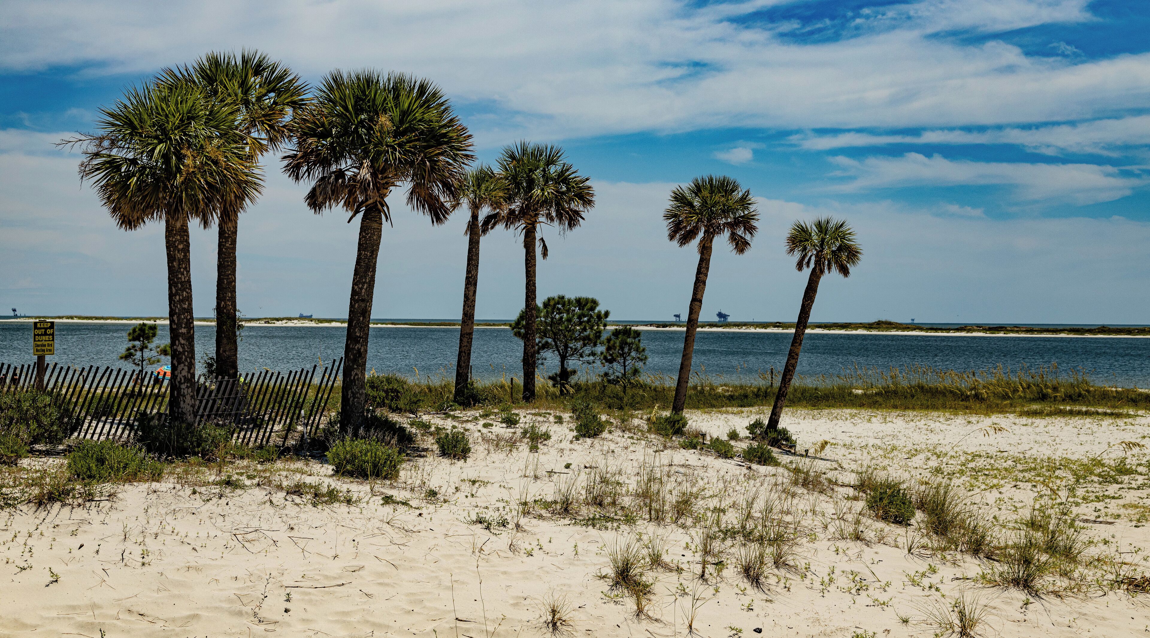 It was a beautiful, beautiful day on the Alabama Gulf Coast today! 