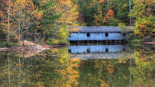 A rustic cabin on stilts by a calm lake surrounded by autumn-colored trees.