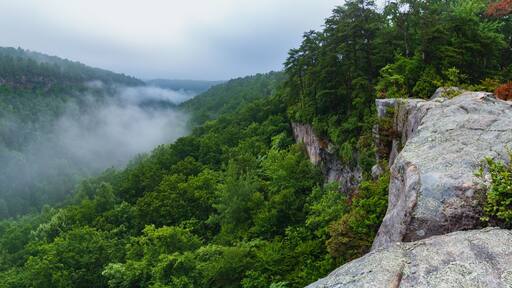 Fog envelopes the Little River Canyon National Preserve at sunrise from a high sandstone cliff, Fort Payne, Alabama. Panorama.