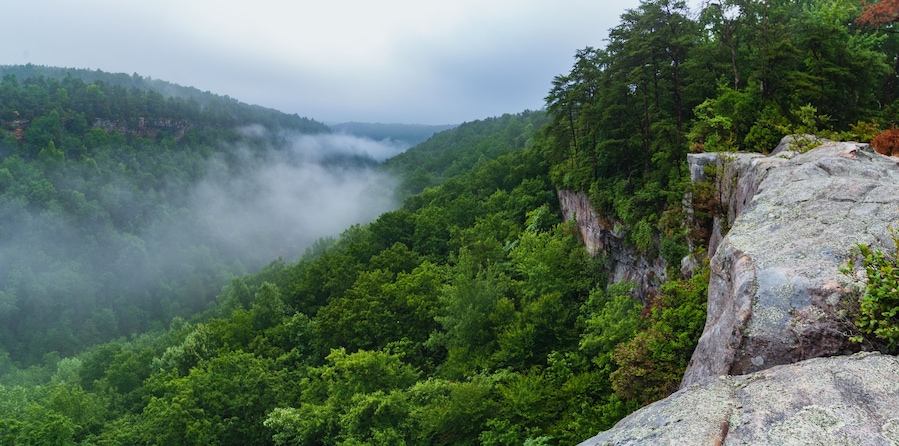 Fog envelopes the Little River Canyon National Preserve at sunrise from a high sandstone cliff, Fort Payne, Alabama. Panorama.