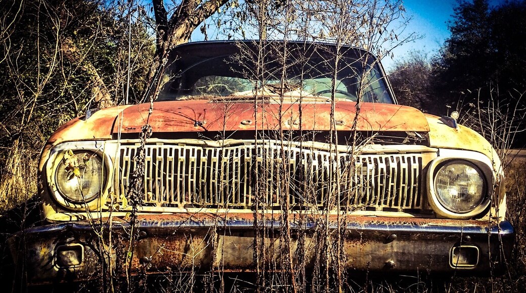 #abandoned
Funny how you drive along and all of a sudden there's an old vehicle just left where it last stopped. Love anything old.