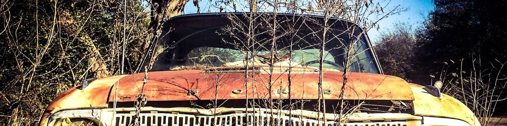 #abandoned
Funny how you drive along and all of a sudden there's an old vehicle just left where it last stopped. Love anything old.