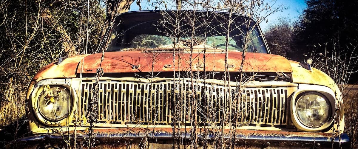 An old, rusted car surrounded by overgrown vegetation.