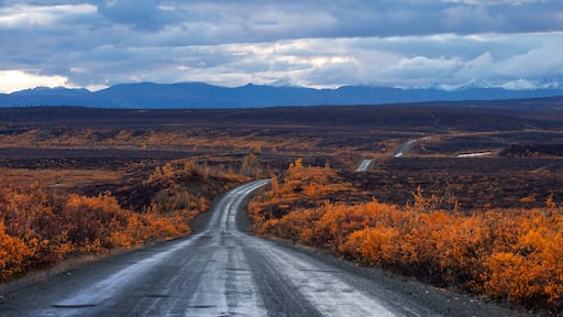 Une route sinueuse traverse un paysage désolé, bordé d’arbustes aux couleurs automnales et dominé, au loin, par des montagnes enneigées sous un ciel nuageux.