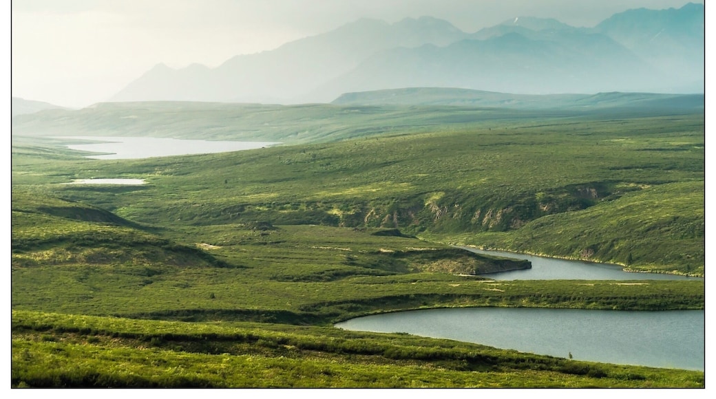 Stop anywhere along the Denali Highway and find a beautiful scene.
#nature #alaska #denalihwy