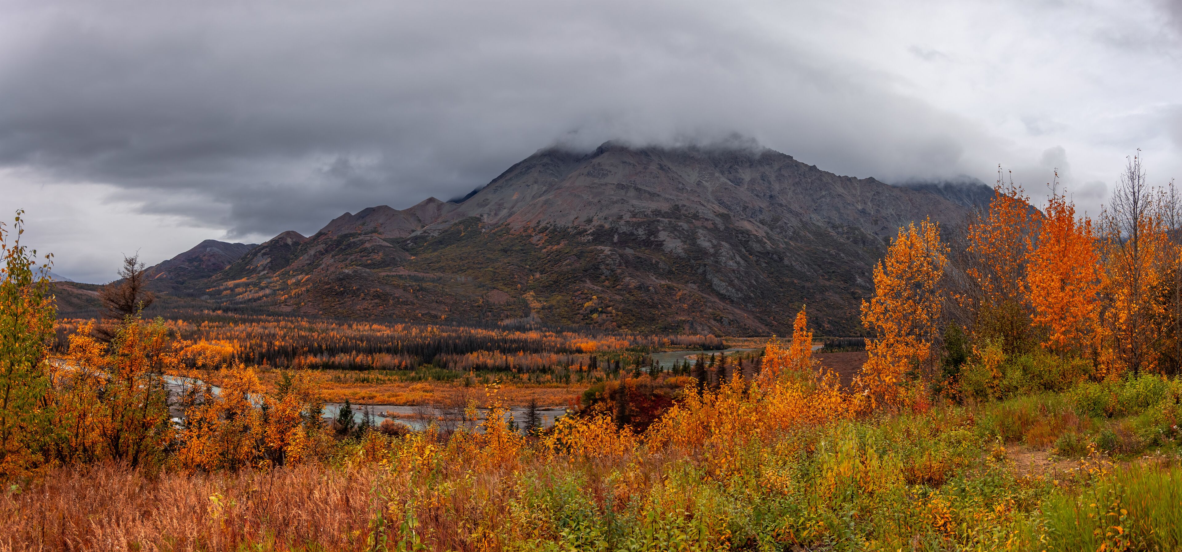 แคนต์เวลล์