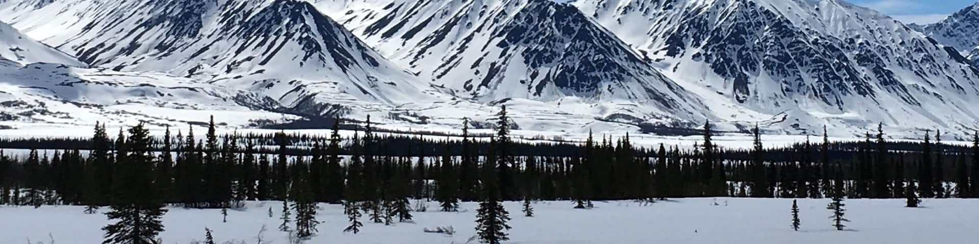 While returning to Anchorage we got to stop along the way. Gorgeous panoramic views. Also got to see top of Denali at 20,310, the highest point in North America.
