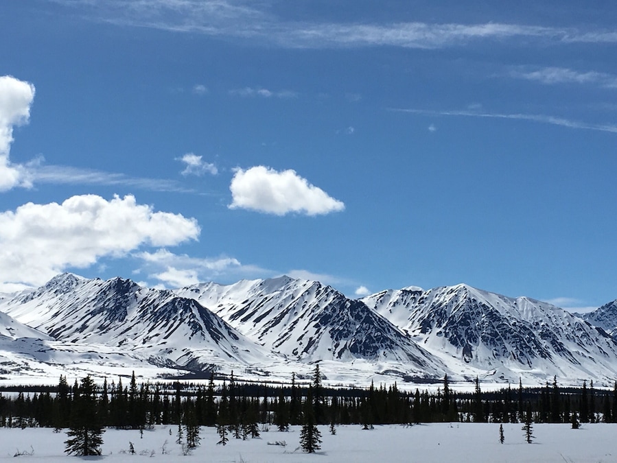 While returning to Anchorage we got to stop along the way. Gorgeous panoramic views. Also got to see top of Denali at 20,310, the highest point in North America.