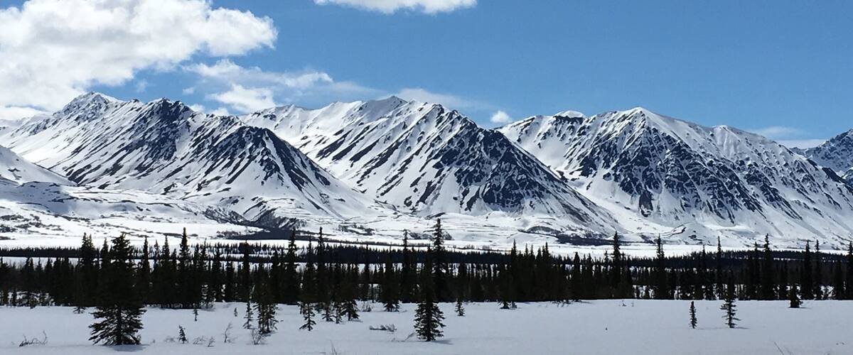 While returning to Anchorage we got to stop along the way. Gorgeous panoramic views. Also got to see top of Denali at 20,310, the highest point in North America.