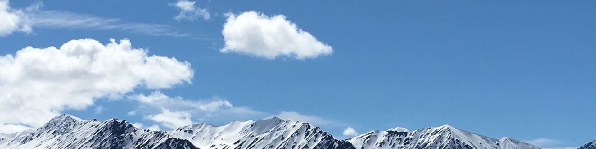 While returning to Anchorage we got to stop along the way. Gorgeous panoramic views. Also got to see top of Denali at 20,310, the highest point in North America.