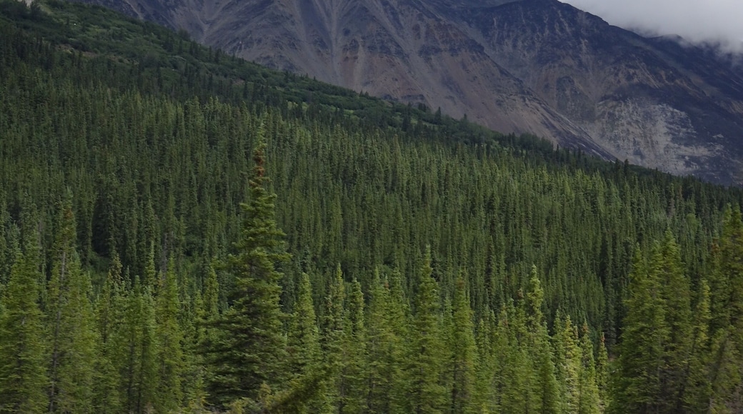 Alaska near Rushmore