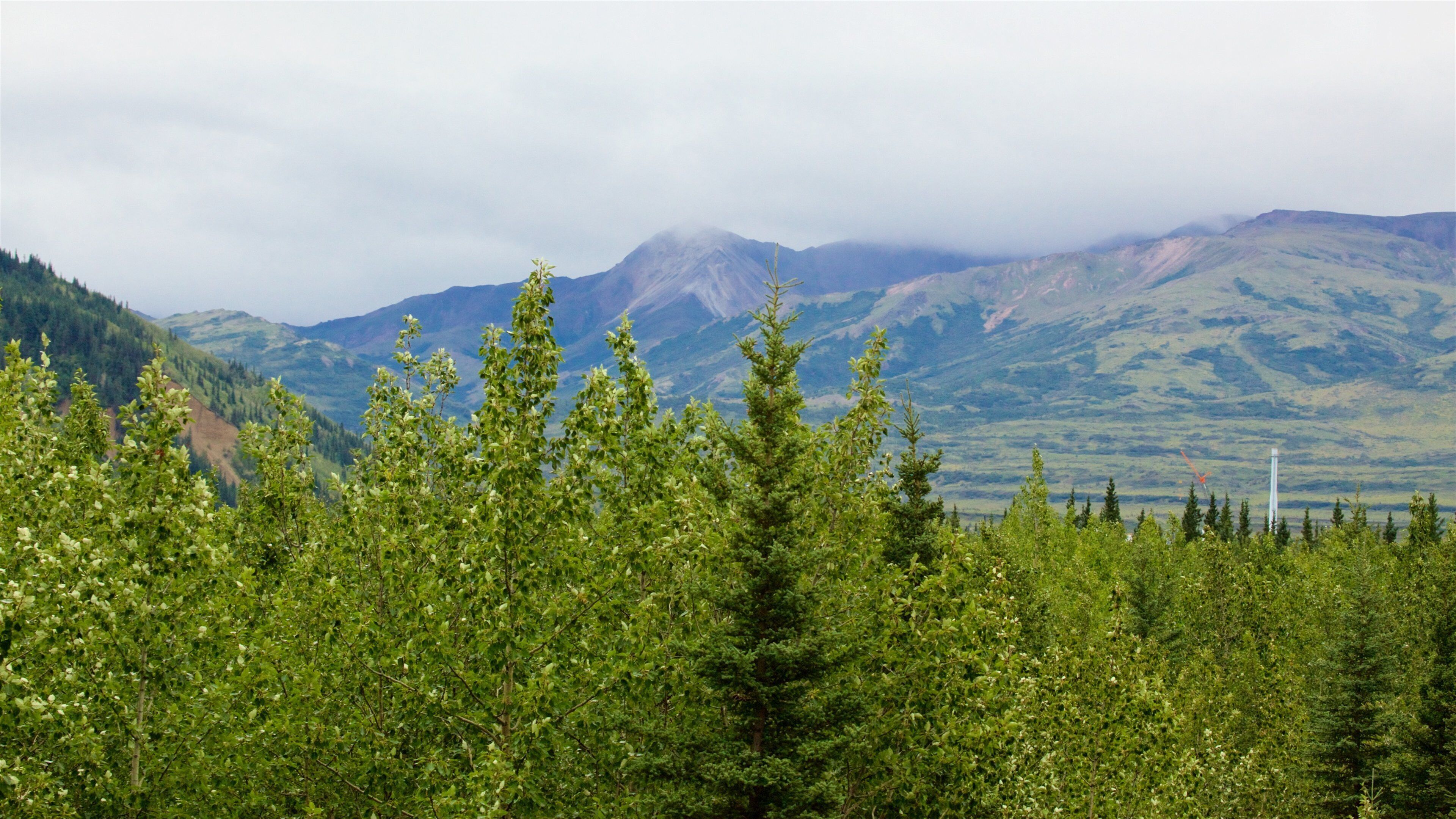 Denali featuring tranquil scenes