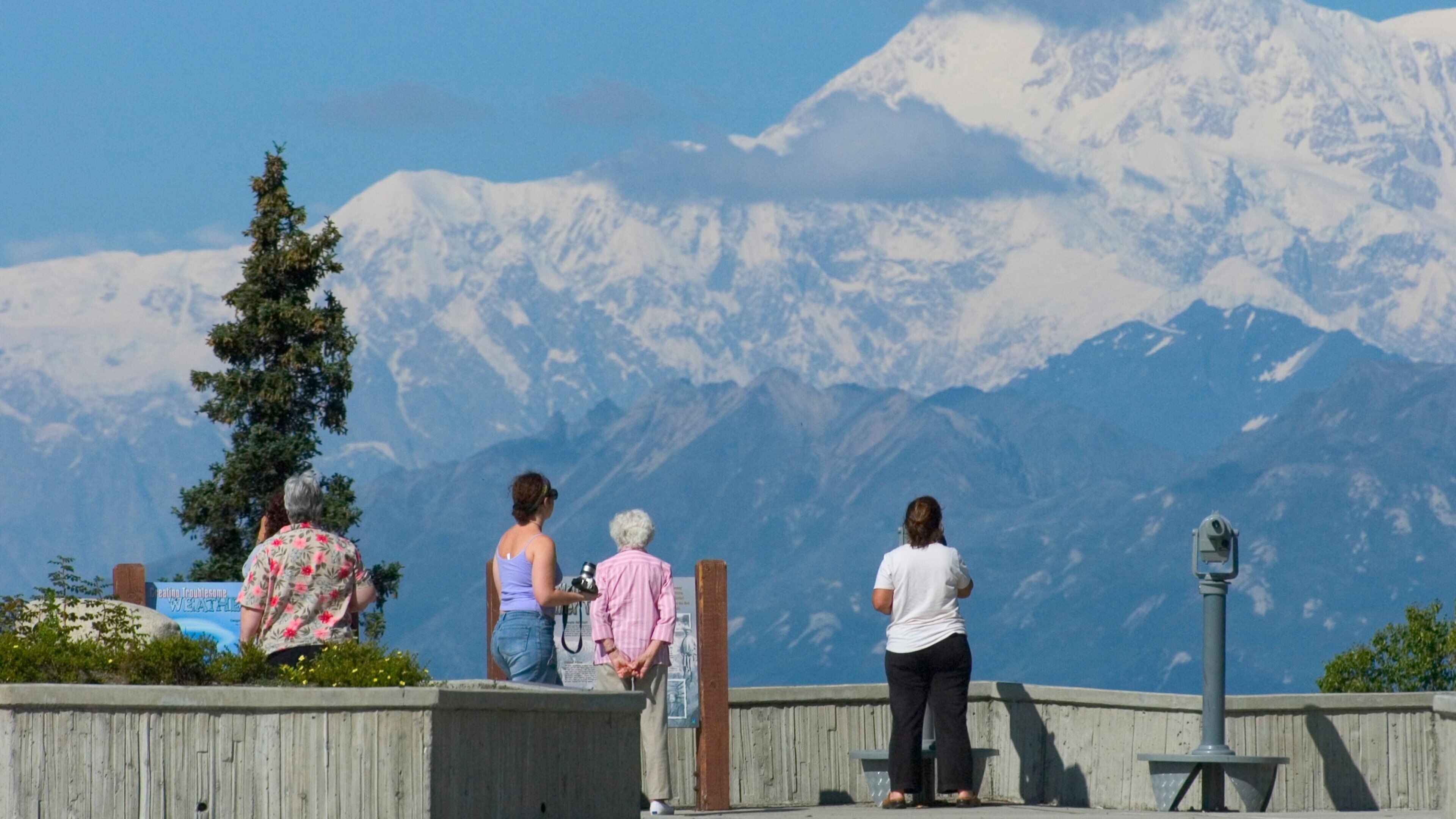 A group of people overlooking snow-capped mountains.