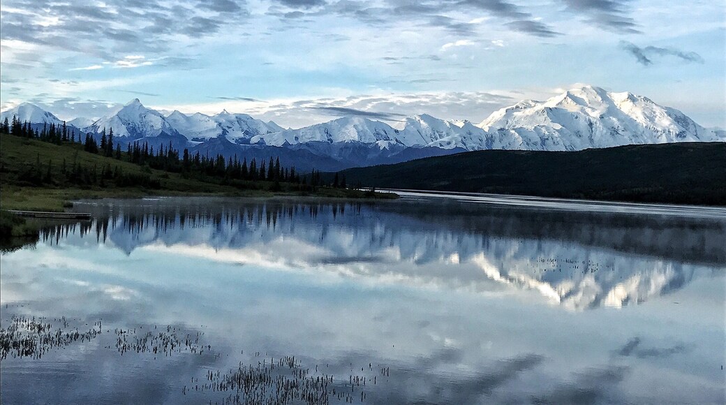 Mount Denali is the second highest peak in the world standing at 20,310 ft tall