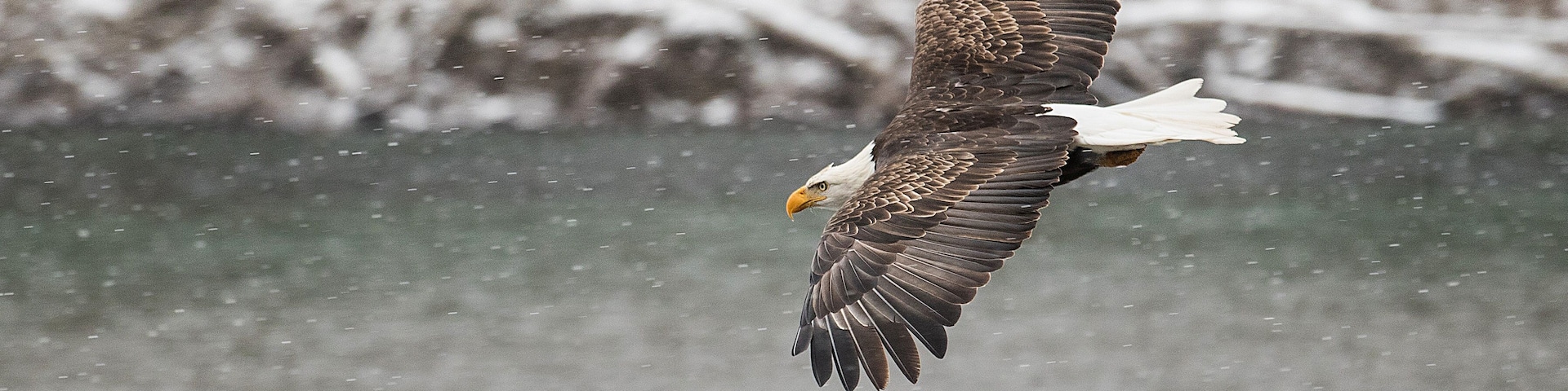 Eagle River Hotel Guide