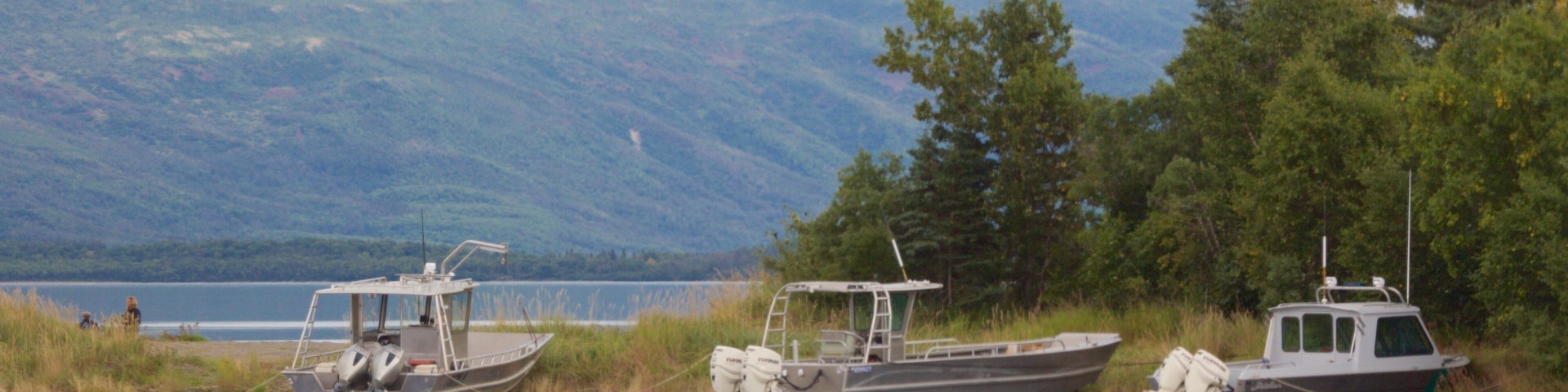 King Salmon which includes a lake or waterhole