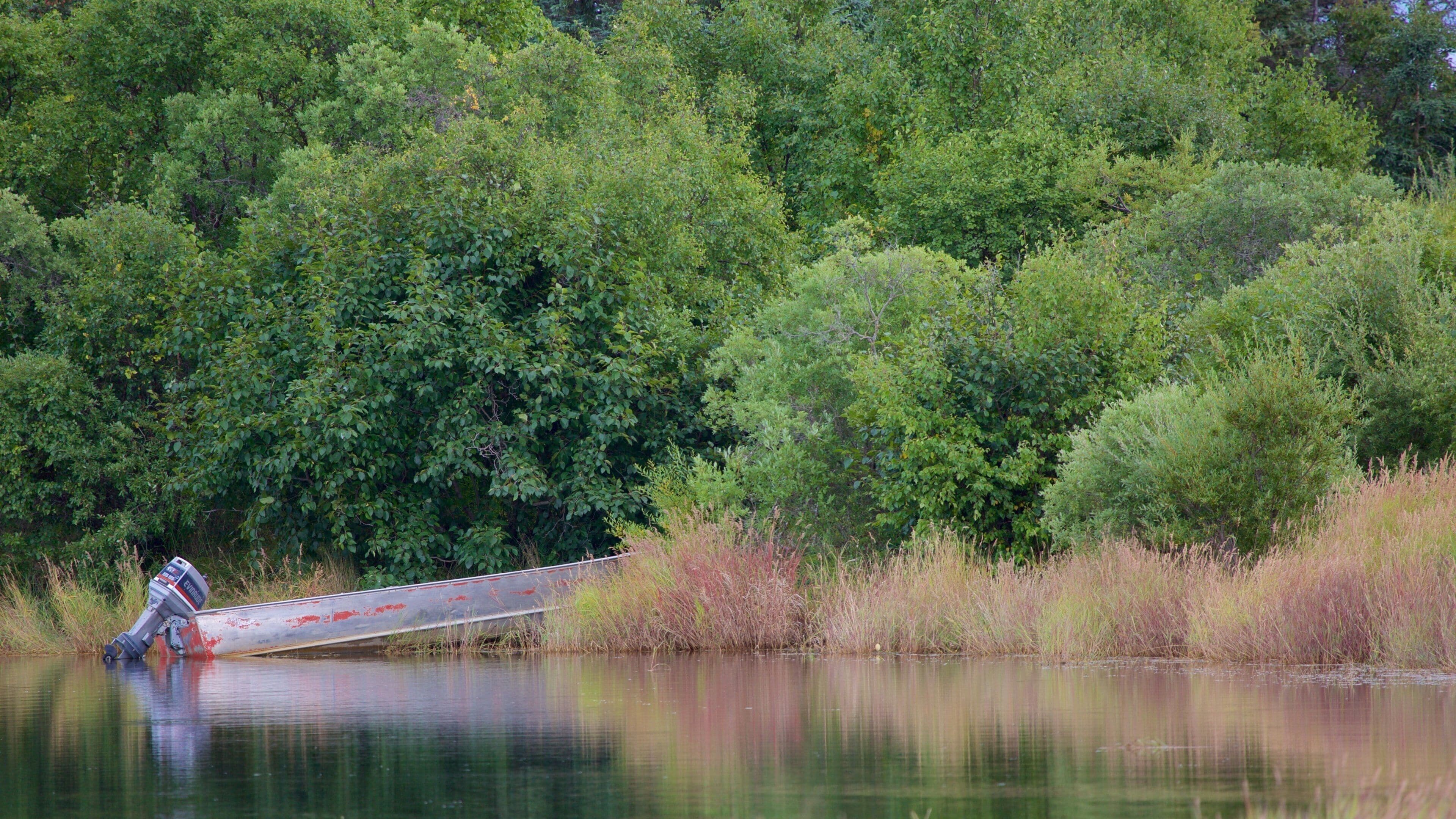 King Salmon som inkluderer innsjø