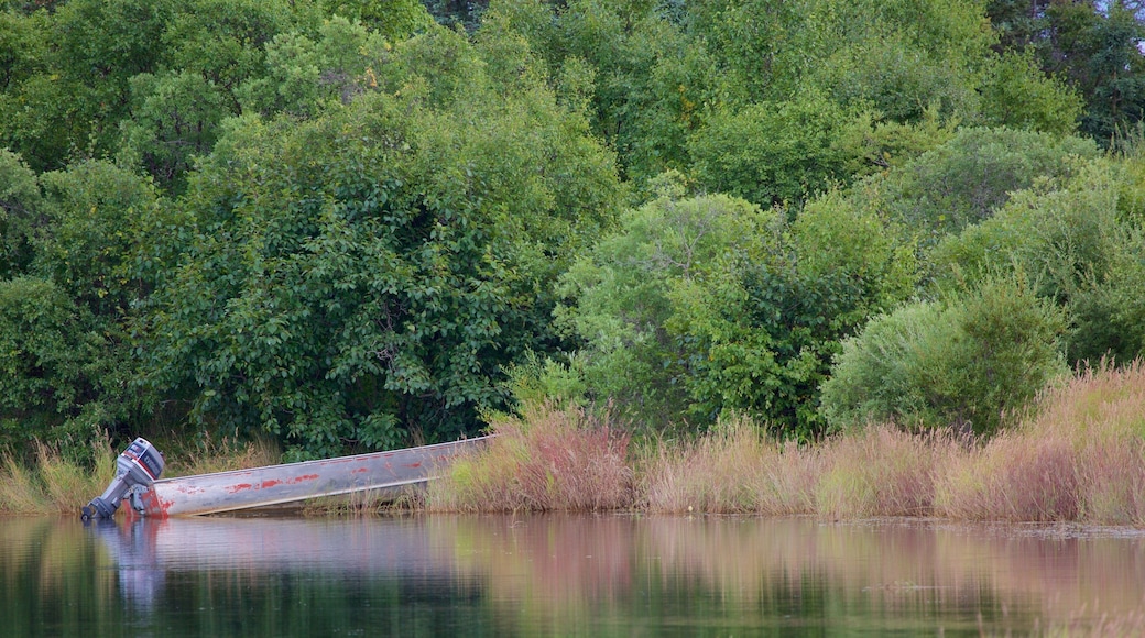 King Salmon som inkluderer innsjø