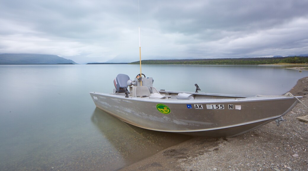 King Salmon presenterar en sjö eller ett vattenhÄl