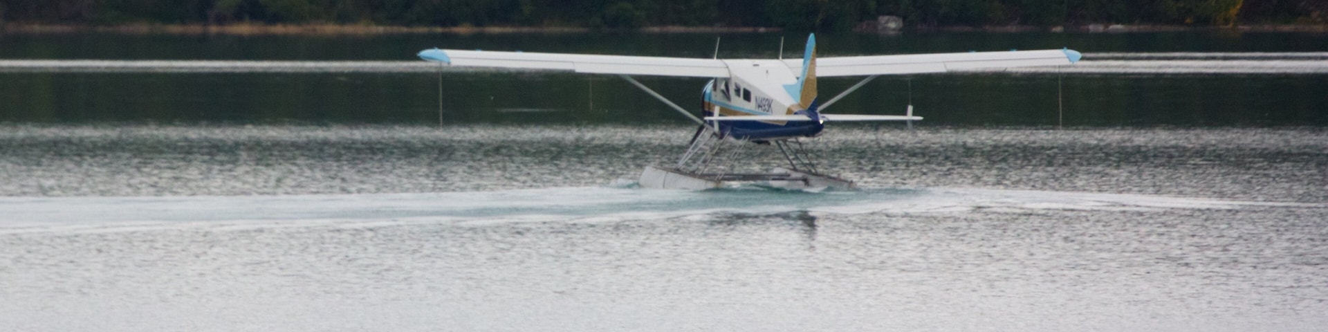 King Salmon which includes a river or creek and dangerous animals