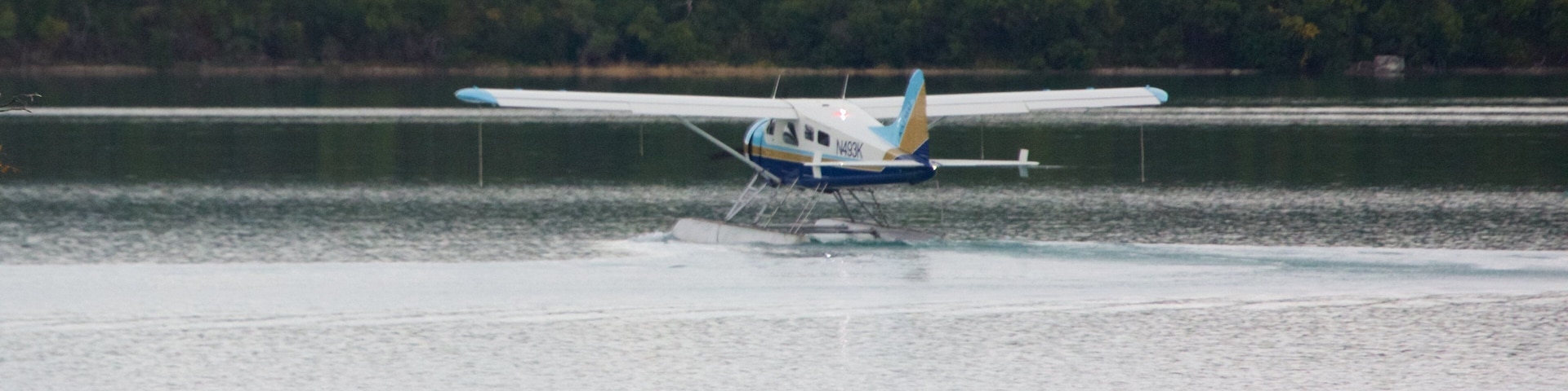 King Salmon que inclui aeronave, uma aeronave e animais terrestres