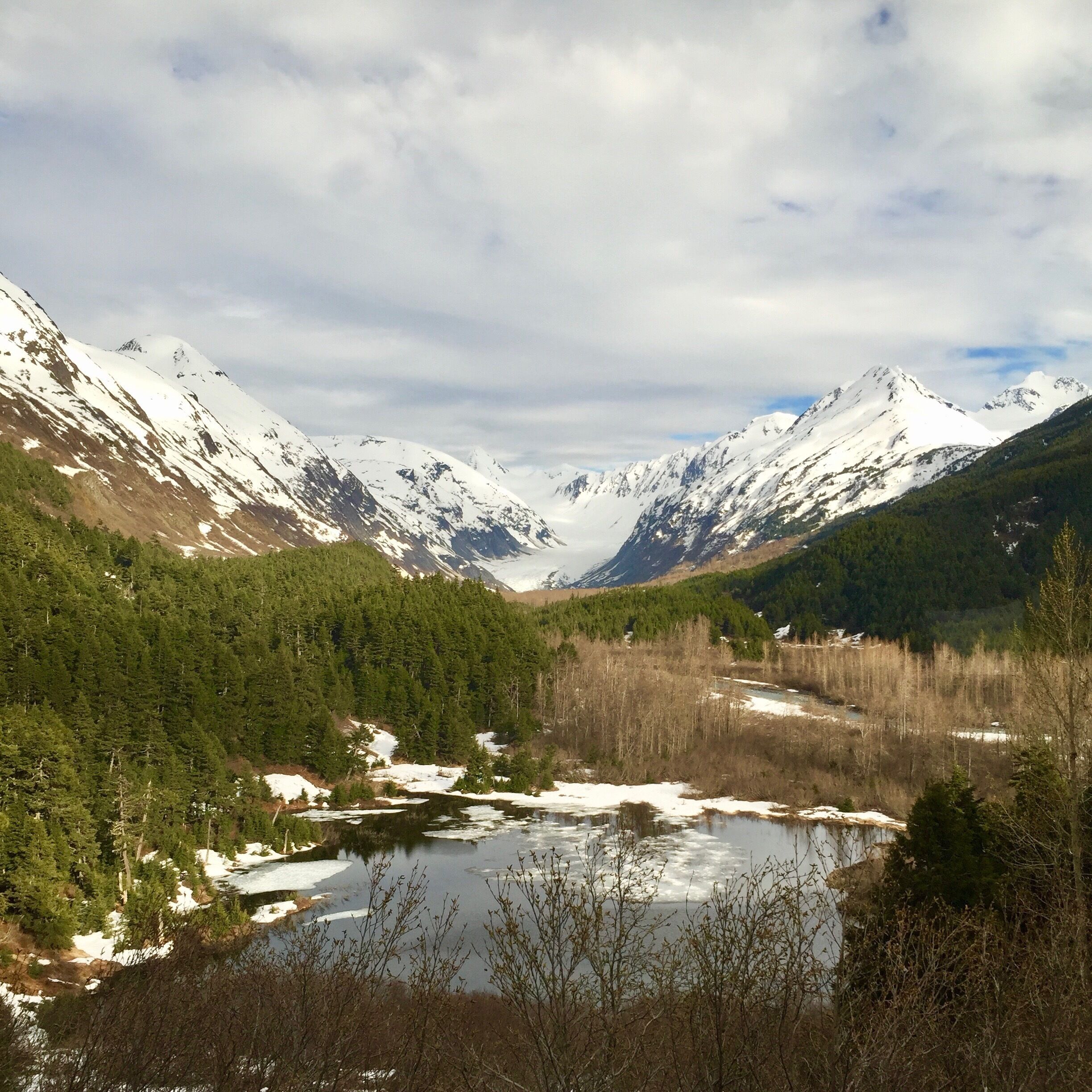 Moose Pass is not more than a dot on the map and a whistle stop on the Alaskan Railroad, but I found the serenity of the place therapeutic and nurturing for the soul. #LifeAtExpedia