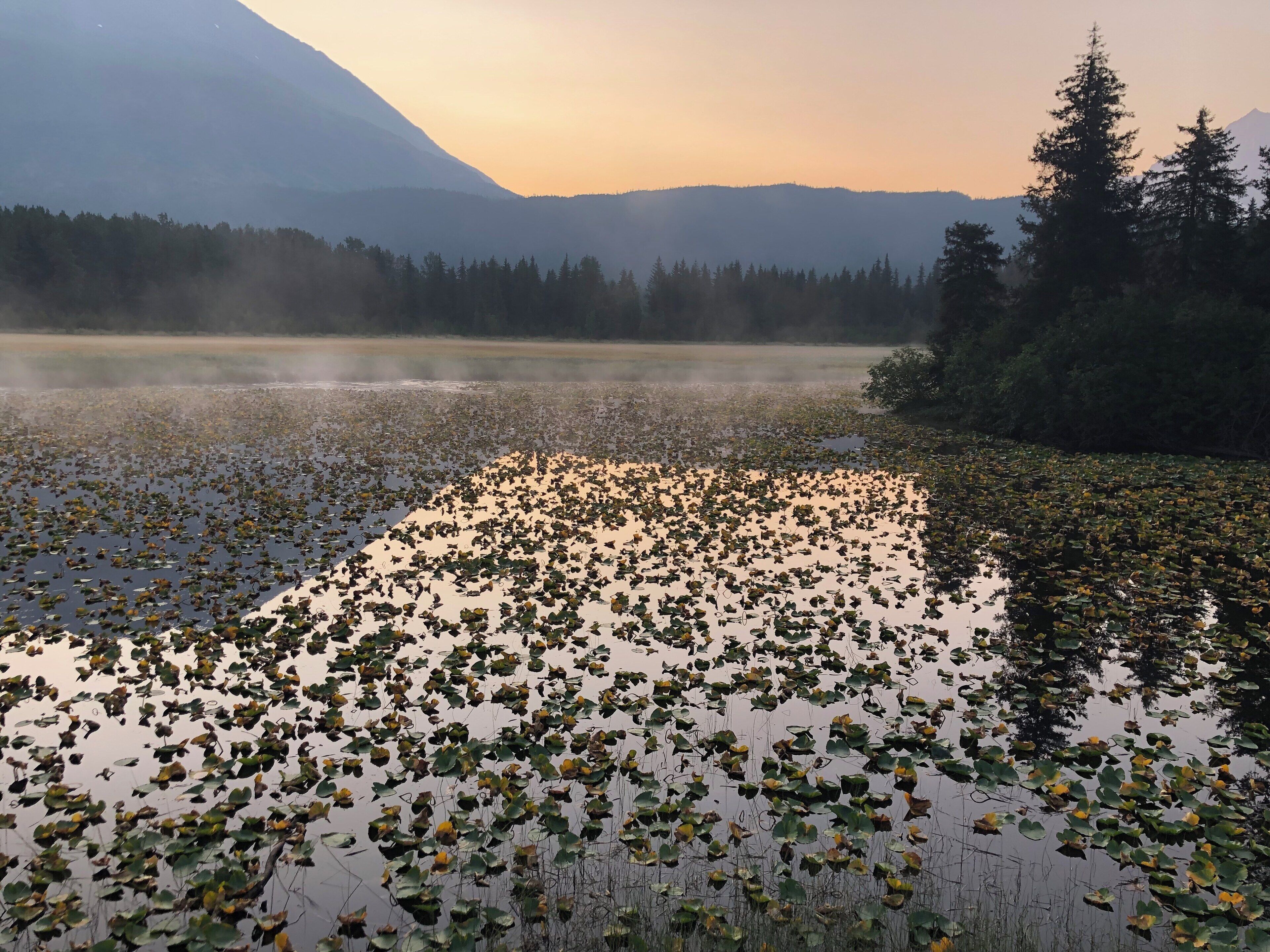 Morning fog above the lake right off the Seward Highway