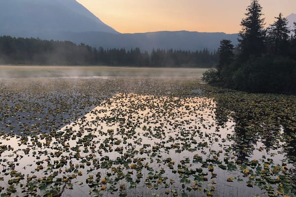 Morning fog above the lake right off the Seward Highway