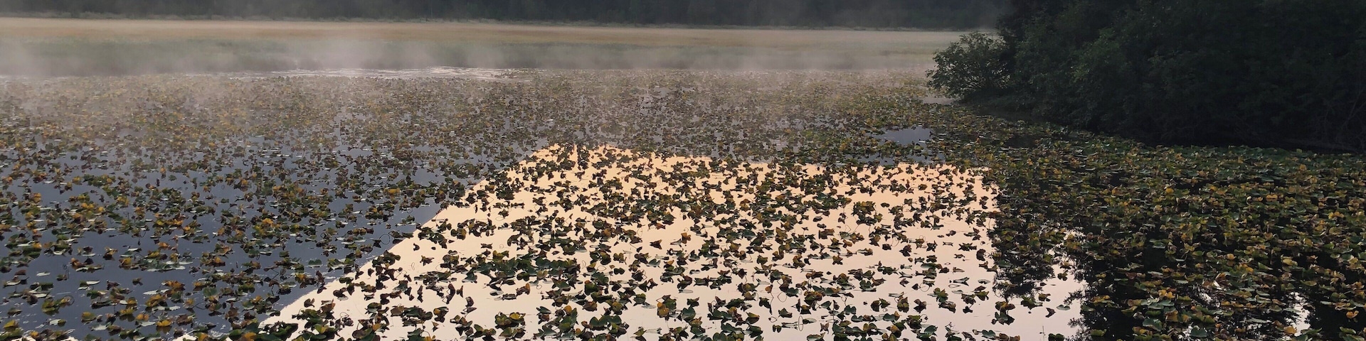 Morning fog above the lake right off the Seward Highway