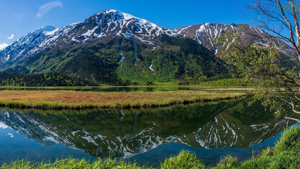 A mountain range with snow-capped peaks, a calm lake reflecting the scenery, and a tree in the foreground.