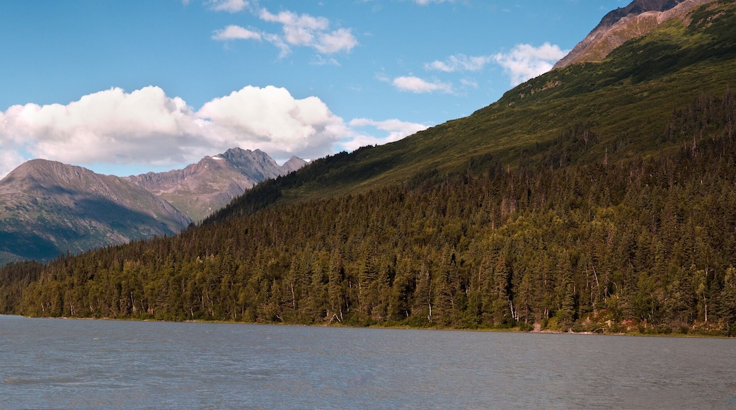 Lake at Moose Pass