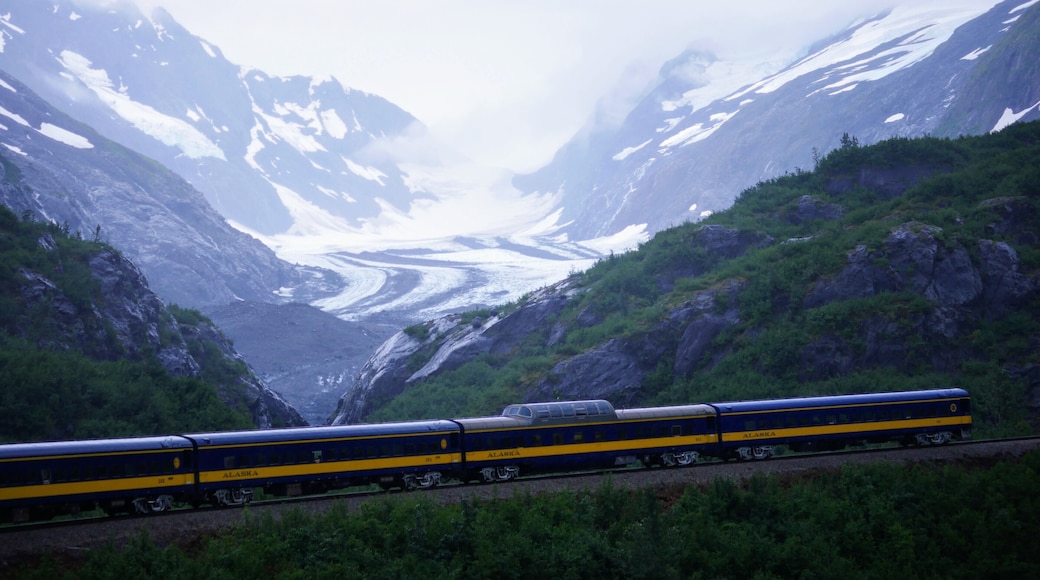 Looking at the end of the Gold Star Dome train from the front. Departed from Seward, Alaska and arrived in Anchorage. Alaska.