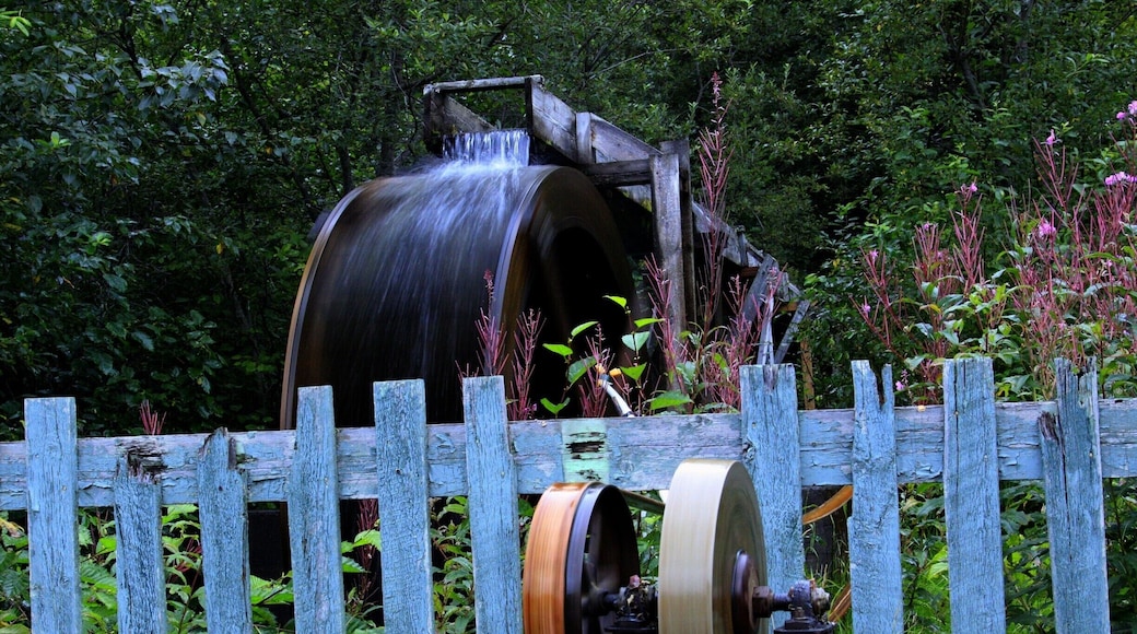 30 miles North of Seward, this water wheel has been rebuilt by the original builders family. It was put up to sharpen axes for the locals, water turns the wheel and the wheel is connected by a belt.
Operational, I sharpened my pocket knife!
