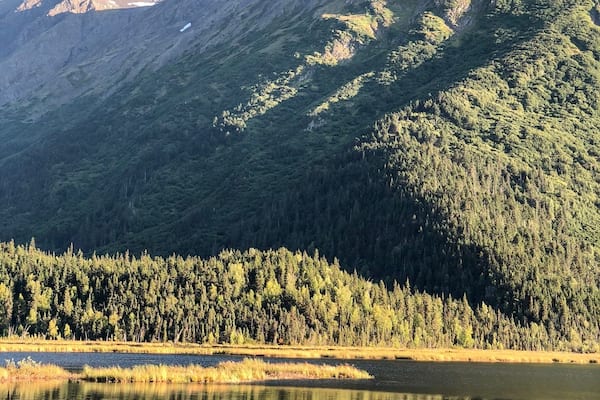 Natureâs nest! #travelalaska