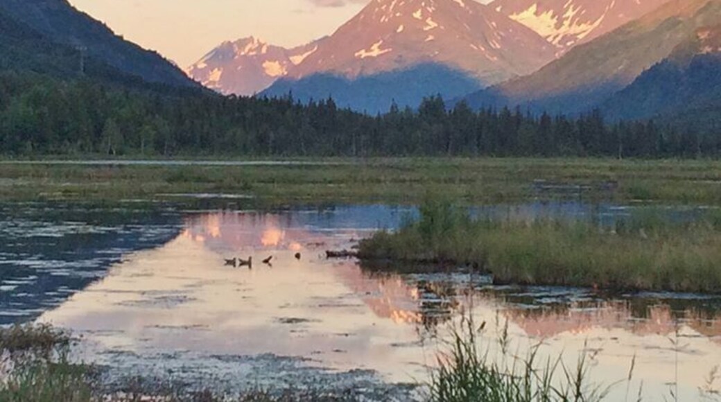 stumbled upon this view driving back to Anchorage from Homer. At the junction of the Sterling and Seward Highways. Late evening - 11ish? Ain't summer in Alaska grand?!