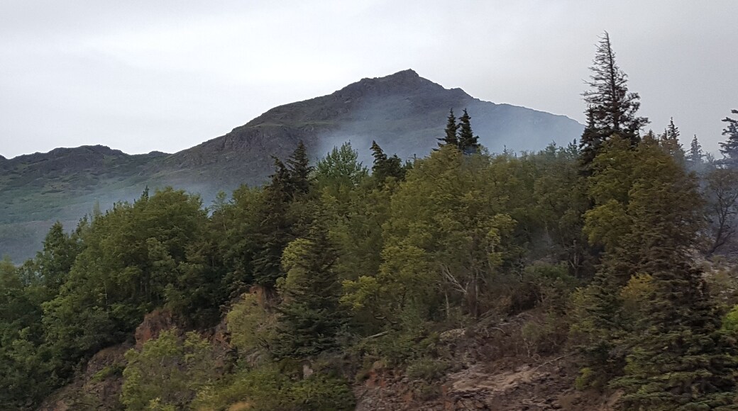 Wildfire in the mountains.